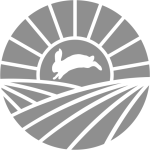 Logo 25